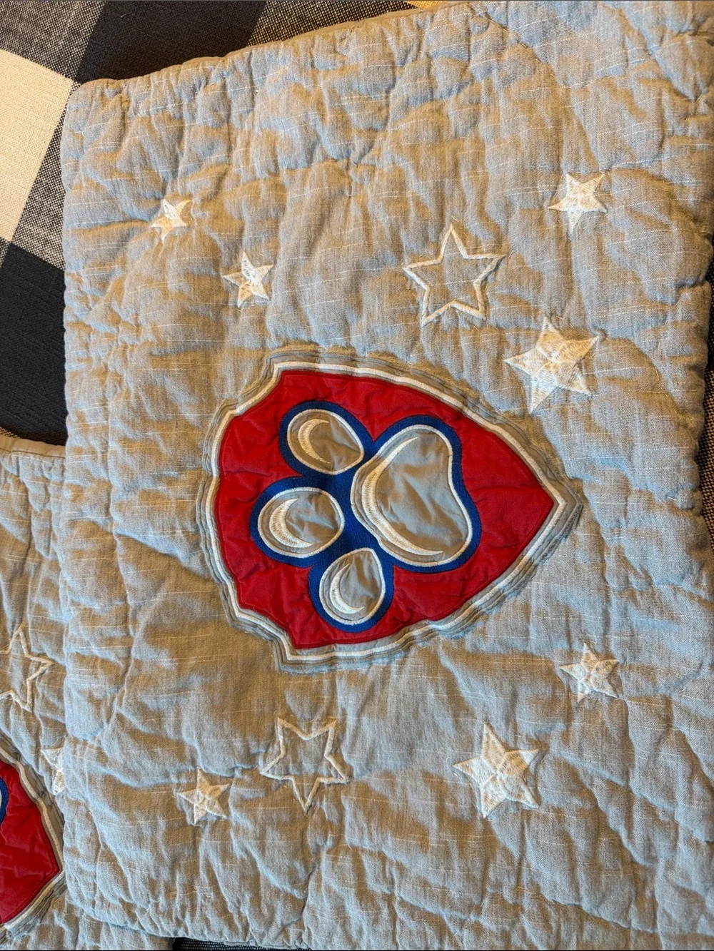 Pottery Barn Kids quilted pillow